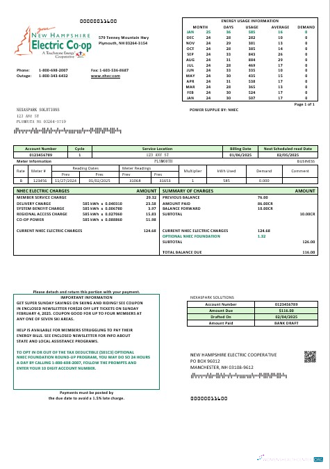 USA New Hampshire Electric Co op electricity business utility bill template in Word and PDF formats